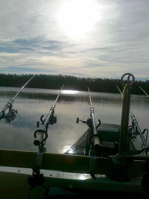 Doar ... NATURA - 3 - 190920131858.jpg